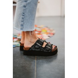 COLORS OF CALIFORNIA BES41N BLACK