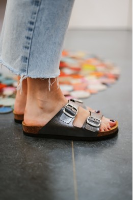 SCHOLL JOSEPHINE ANTHRACITE