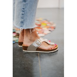 BRINKMANN DAISY